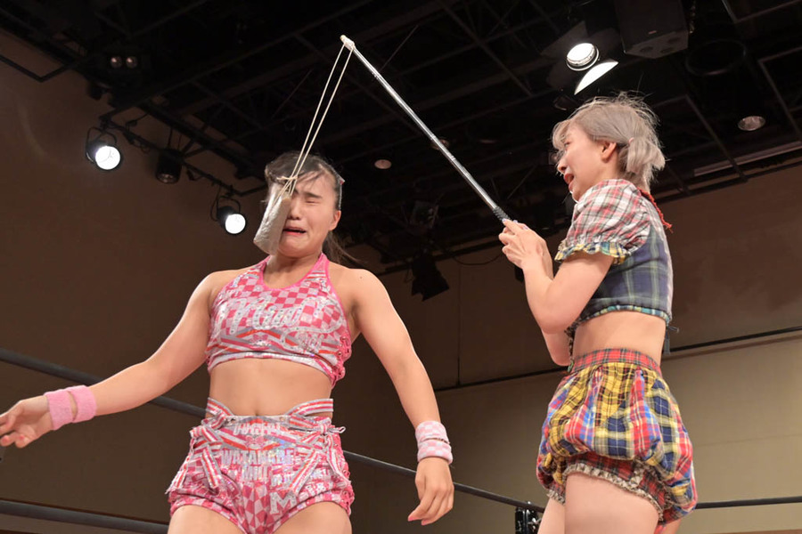 Pom Harajuku Konjac