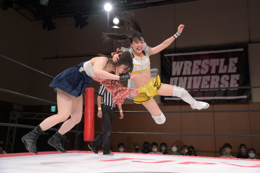 Suzume bulldog